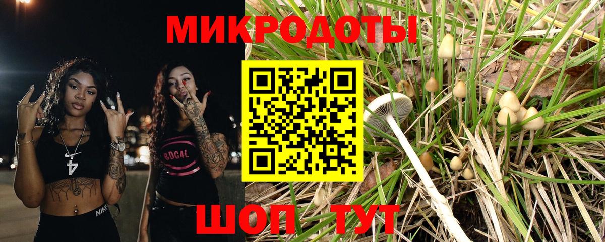 Изобильный  Галлюциногенные грибы прущие грибы  Вход с VPN 